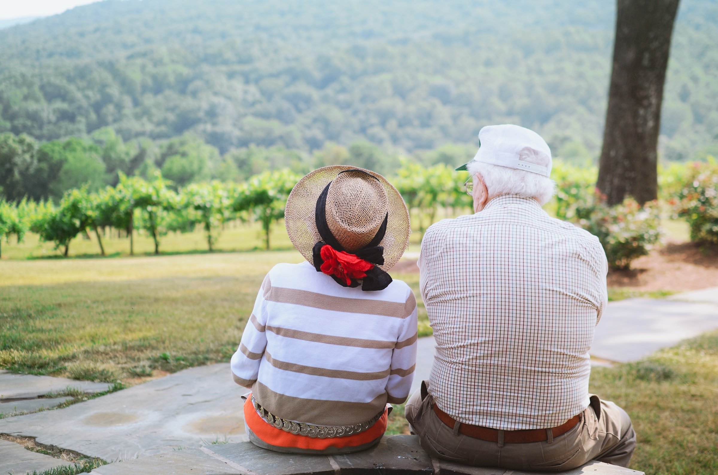 Breaking the Fall: Reducing the Risk of Falling for Older Adults
